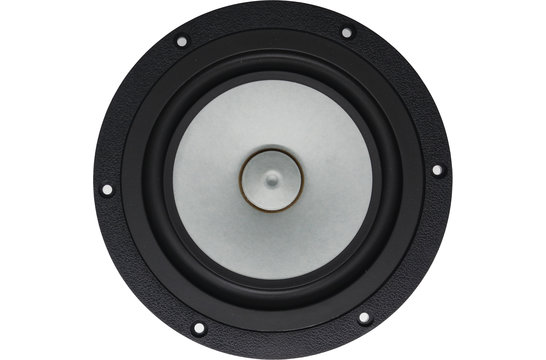Alpair-10P Full-range Woofer