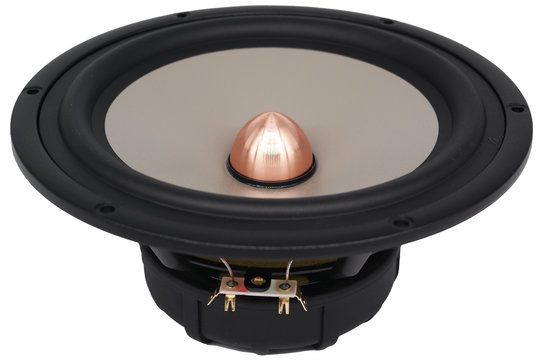 Excel W22EX/001 - E0022 Woofer Medio-Bassi