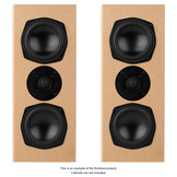 AviaTrix-RST | Speaker Kit | Components Only | Pair