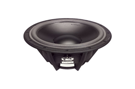 Swan D10.8 | 10"| Poly Cone Woofer