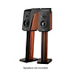 Swan ST3.1 speaker stand pair