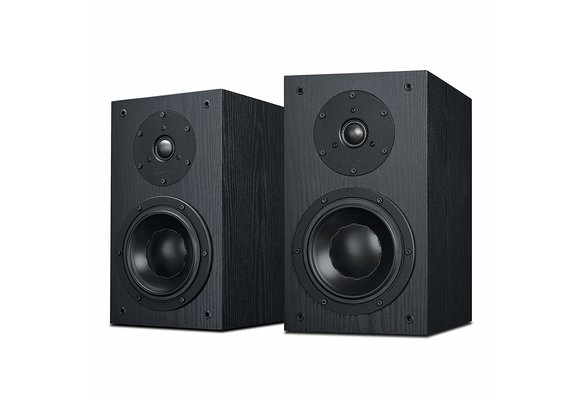 Swan DIY2.2-A black DIY Kit Altoparlante