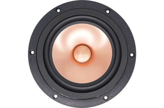 Alpair-10 Gold Full-range Woofer