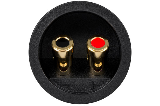 Pressfit Speaker Wire Terminal Cup Gold Spring-Loaded