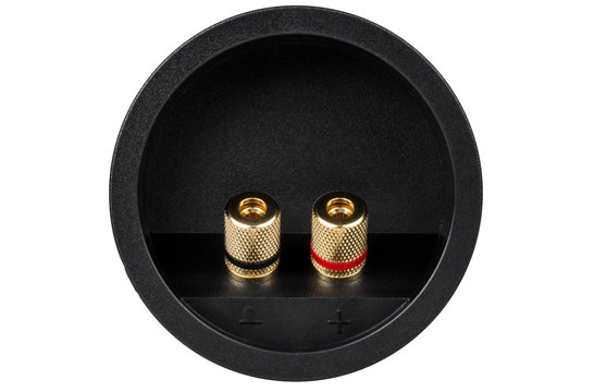 Gold Pressfit Binding Post Banana Jack 5-Way Speaker Terminal Cup