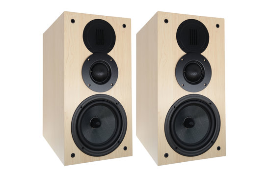Swan DIY3.1-A Bookshelf Speaker | DIY Kit | White
