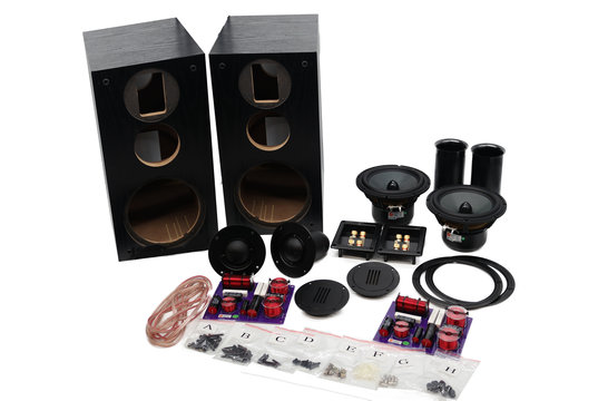 Swan DIY3.1-A black DIY Kit Altoparlante