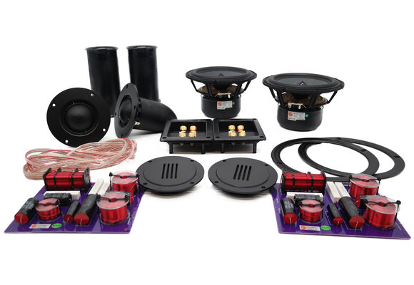 Swan DIY3.1-A DIY Kit Autocostruzione