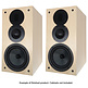 Swan DIY3.1-A Bookshelf Speaker | DIY Kit | Components Only | Pair