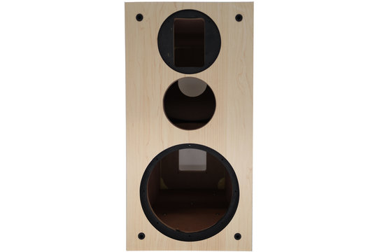 Swans DIY3.1-A Bookshelf Speaker | DIY Kit | White