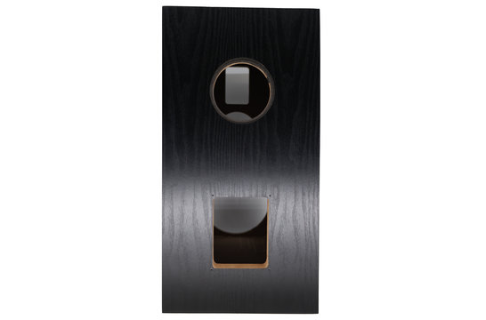 Swan DIY3.1-A black DIY Kit Altoparlante