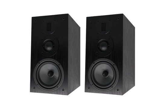 Swan DIY3.1-A Bookshelf Speaker | DIY Kit | Cabinet and Components | Black
