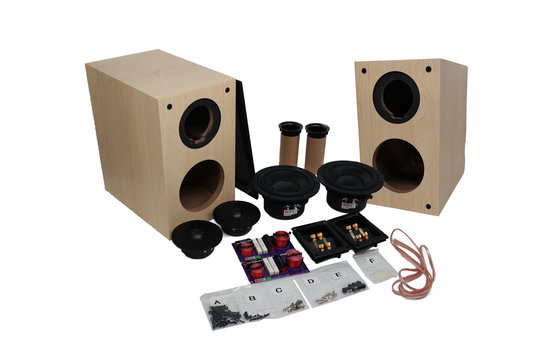 Swan DIY2.2-A DIY speaker kit