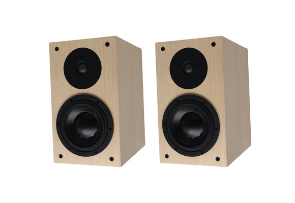 Swan DIY2.2-A DIY Kit Altoparlante