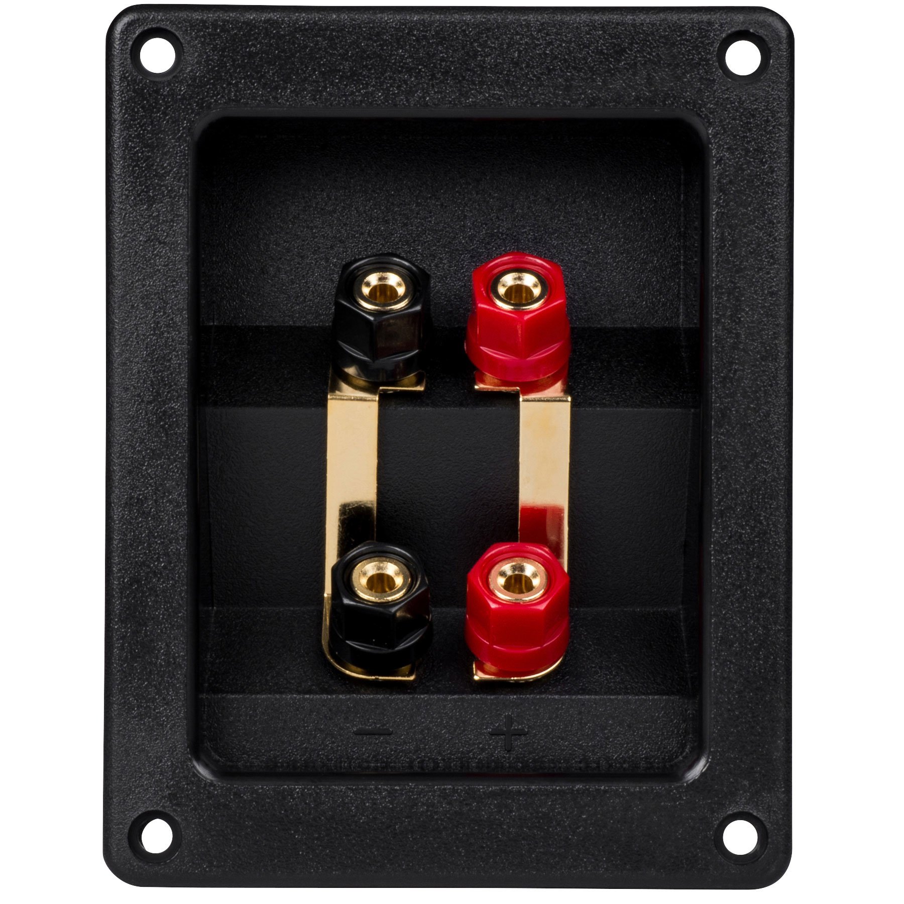 Rechthoekige luidsprekerterminal | Schroefbinding | 122 x 95 mm