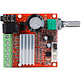 2.1 Hi-Fi Class D Audio Amplifier Board 10-18 VDC