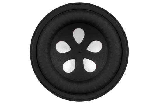 W1-2121S Woofer a Gamma Completa