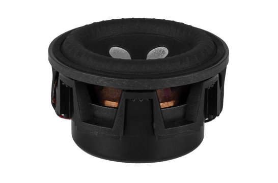 W1-2121S Woofer a Gamma Completa