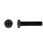 M3 x 16 mm Machine Screw Black Oxide