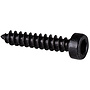 Cap Head Wood Screws Black | M3 x 16mm