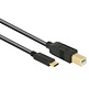 USB C naar USB B Kabel - 2.0