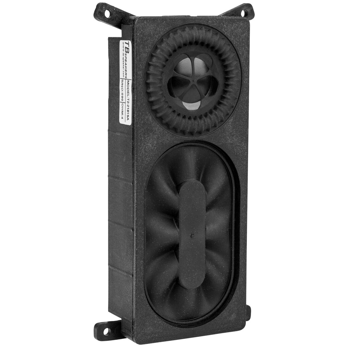 T2-2181SA Subwoofer-Modul Tieftöner