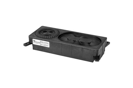 T2-2181SA Subwoofer-Modul Tieftöner