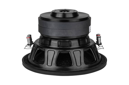 MX10-22 Subwoofer Tieftöner