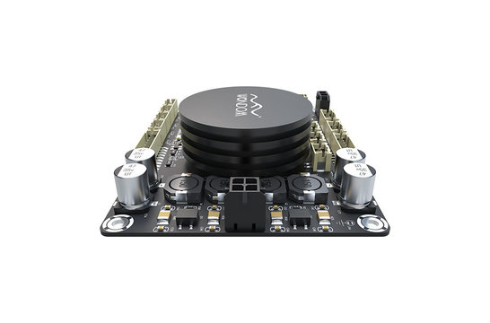 AA-JA31183 1 x 100 Watt klasse D versterkermodule