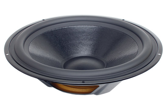 DS315-PR 12" Passive Radiator