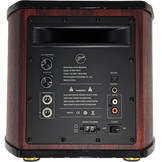 Swan M50WMKIII 2.1 Aktive Bluetooth Regallautsprecher