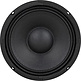 6PT-8  Midbass Woofer