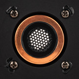 6PT-8  Midbass Woofer