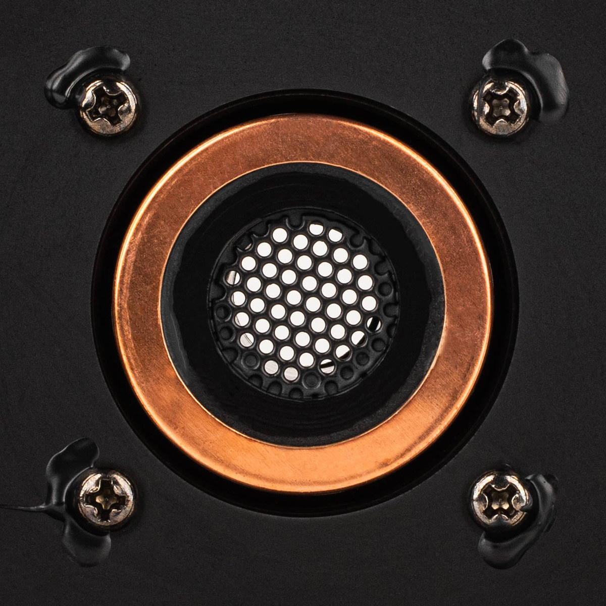 6PT-8 Midbass-Tieftöner