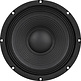 8PT-8 8" Paper Cone Professional Woofer 8 Ohm