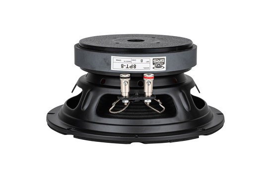 8PT-8 8" Paper Cone Professional Woofer 8 Ohm