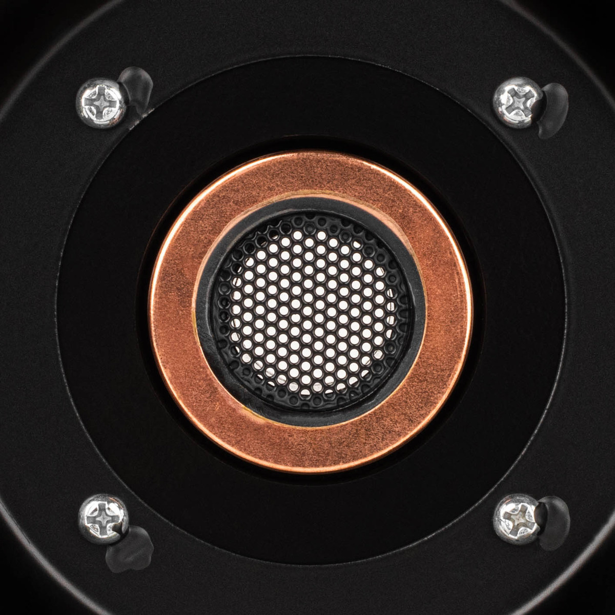 10PT-8 10" Paper Cone Professional Woofer 8 Ohm