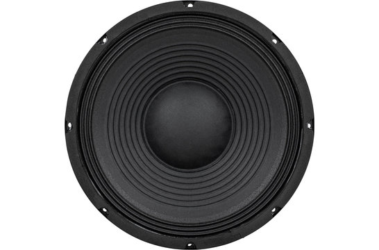 12PT-8 Woofer