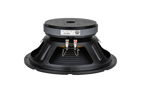 12PT-8 Woofer