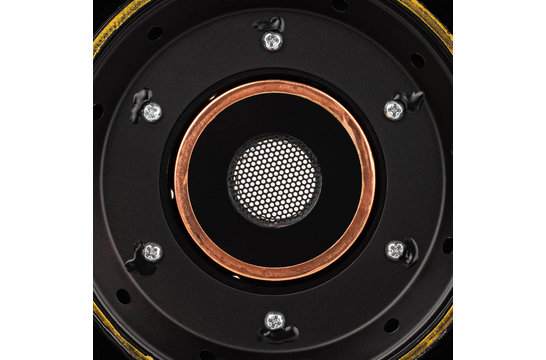 12PT-8 Woofer