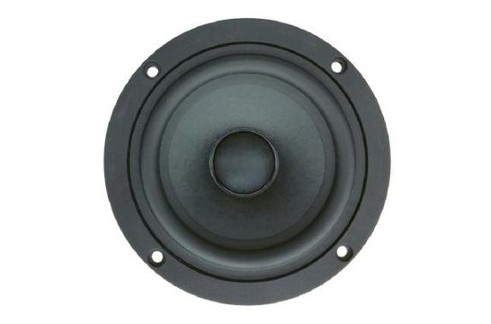 AUGWL0010-JN10 Woofer