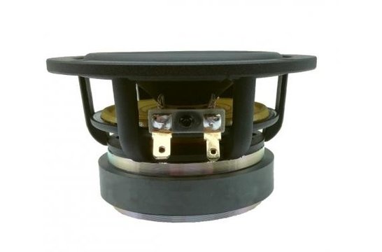 AUGWL0010-JN10 Woofer