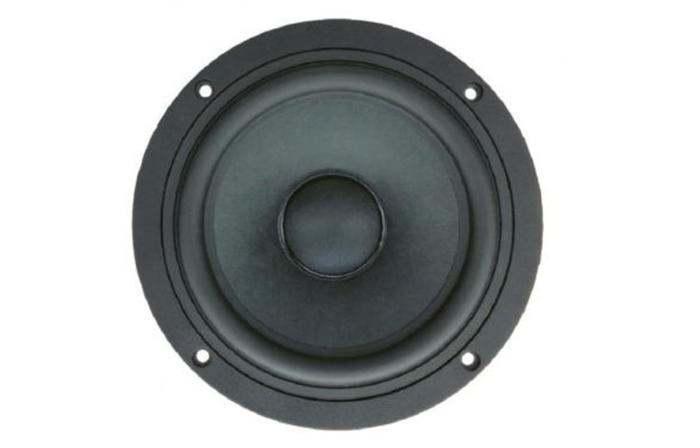 AUGWL0013-JN05 Woofer