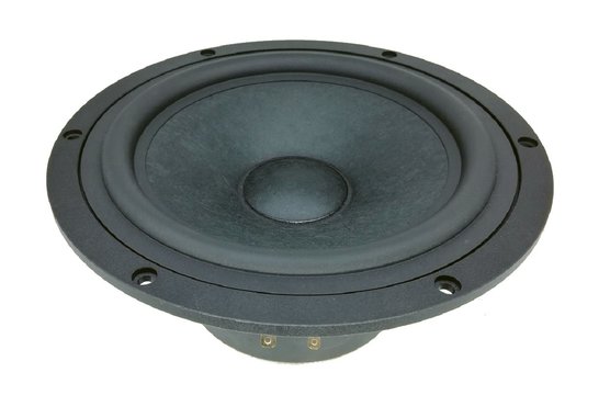AUGWL0020-JN03 Woofer