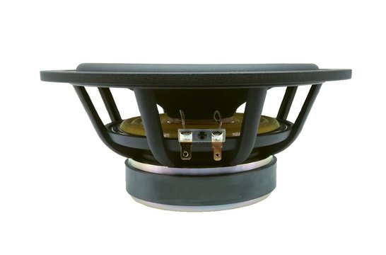 AUGWL0020-JN03 Woofer