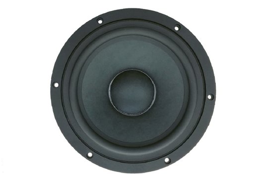 AUGWL0016-JN03 Woofer