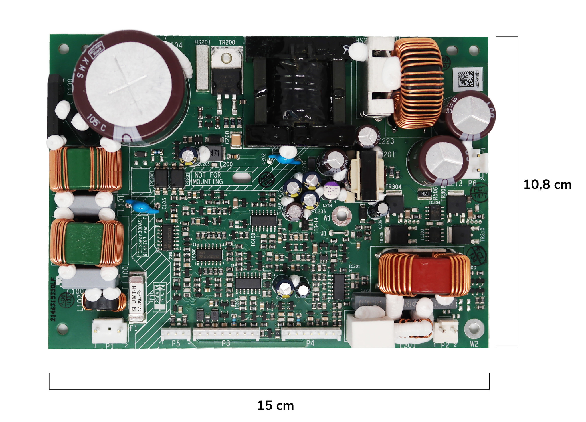300AS1 | Modulo Amplificatore with Integrated Power Supply