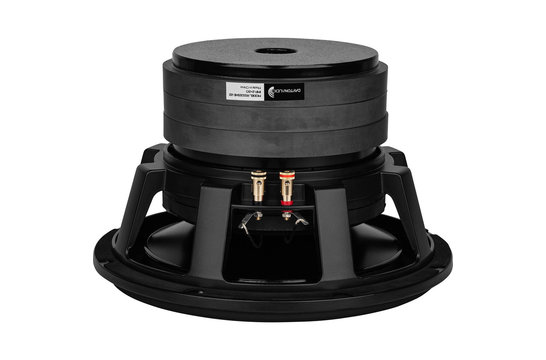 RSS315HE-22 Subwoofer Tieftöner