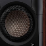 Swan D300 HiFi Stereo Aktive Bluetooth 5.0 Regallautsprecher