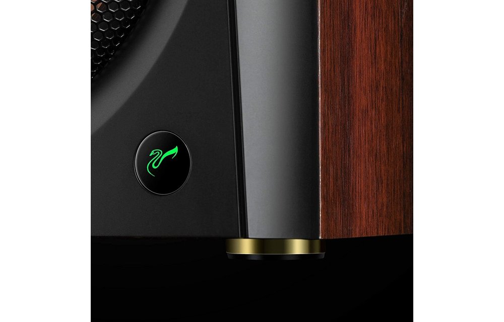 Swans D300 HiFi Stereo Aktiv Bluetooth 5.0 Regallautsprecher